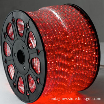 SMD Flexible 220V Waterproof LED Rope Light with High Quality